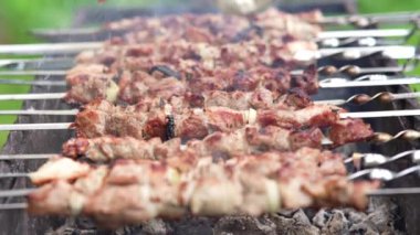 Şiş ızgara şiş kebap. Izgarada pişirilmiş domuz eti..