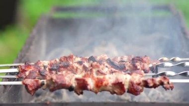 Şiş ızgara şiş kebap. Izgarada pişirilmiş domuz eti..