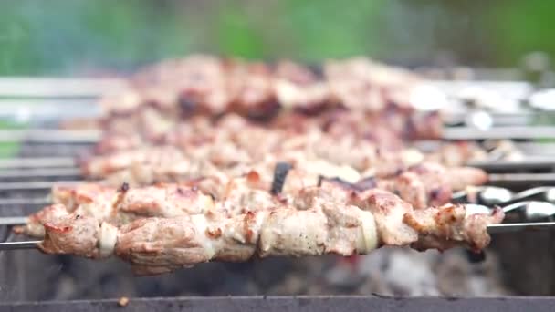 Grillad Shish Kebab Spett Rostat Fläskkött Tillagat Grill — Stockvideo