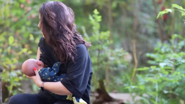 Jeune Maman Mignonne Allaitant Bébé Lait Maternel Dans Forêt — Video