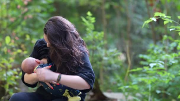 Νεαρή Χαριτωμένο Μαμά Θηλάζουν Μητρικό Γάλα Στο Δάσος — Αρχείο Βίντεο