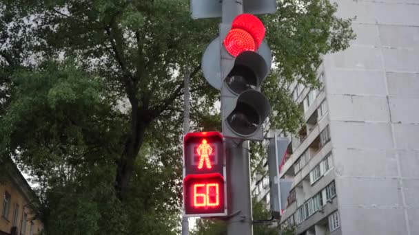 도시의 신호등이야 녹색에서 빨간색으로 풍경에서 합니다 도시의 거리에서 운행되는 신호등 — 비디오