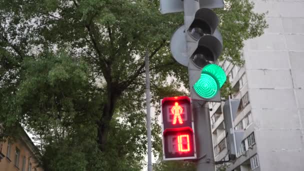 Trafikljus Staden Förändringar Från Grönt Till Rött Urban Scen Ett — Stockvideo