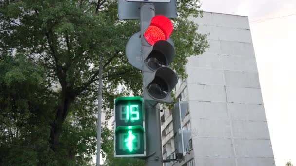 Semáforo Cidade Mudanças Verde Para Vermelho Cena Urbana Semáforo Trabalho — Vídeo de Stock