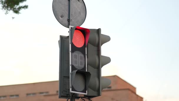 Verkeerslichten Stad Veranderingen Van Groen Naar Rood Stedelijke Scene Een — Stockvideo