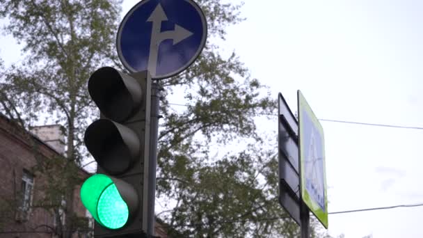 도시의 신호등이야 녹색에서 빨간색으로 풍경에서 합니다 도시의 거리에서 운행되는 신호등 — 비디오