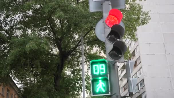 Şehirdeki Trafik Işığı Yüzünden Yeşilden Kırmızıya Dönüşür Şehir Manzarası Şehir — Stok video