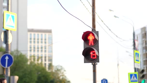 Semáforo Ciudad Cambios Verde Rojo Escena Urbana Semáforo Trabajo Una — Vídeos de Stock