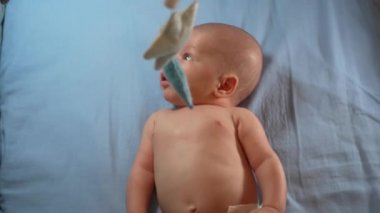 Bebek arabası ve yeni doğmuş bir bebeğin beşiğinde farklı oyuncaklar asılı. Yeni doğmuş erkek bebek beşiğinde yatar ve bebek arabasında asılı durur..