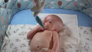 Bebek arabası ve yeni doğmuş bir bebeğin beşiğinde farklı oyuncaklar asılı. Yeni doğmuş erkek bebek beşiğinde yatar ve bebek arabasında asılı durur..