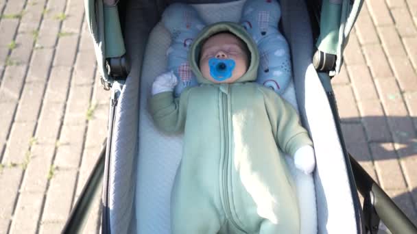 婴儿躺在婴儿车里散步 — 图库视频影像
