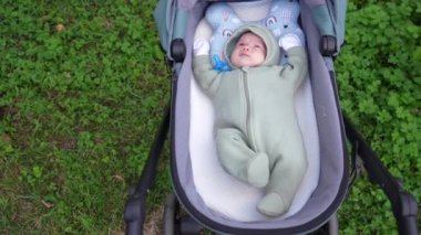 Yeni doğmuş bebek otların arkasında bebek arabasında yatıyor.