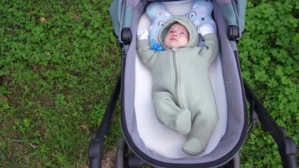 Bayi yang baru lahir terbaring di kereta bayi dengan latar belakang rumput — Stok Video