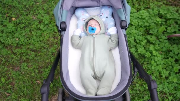 Newborn baby lying in a baby carriage on the background of grass — Stock Video