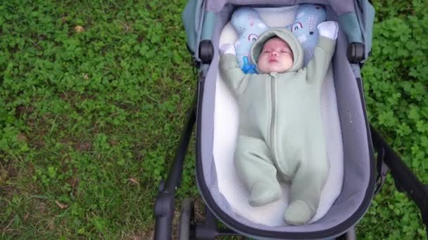 Bebê recém-nascido deitado em uma carruagem de bebê no fundo da grama — Vídeo de Stock