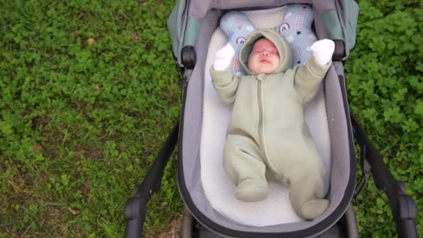 Новорожденный ребенок лежит в детской коляске на фоне травы — стоковое видео