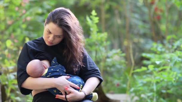 Jovem bonito mãe alimentando bebê leite materno na floresta — Vídeo de Stock