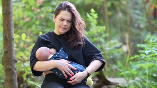 Jovem bonito mãe alimentando bebê leite materno na floresta — Vídeo de Stock