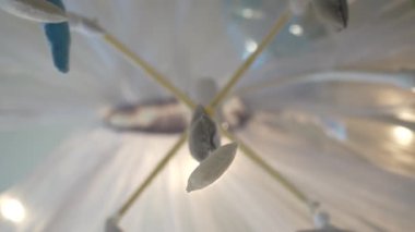 Bebek kafasını kontrol etmeyi öğreniyor, 2 aylık erkek bebek evde karnının üzerinde oyun minderinin üzerine yatarak başını kaldırıyor..