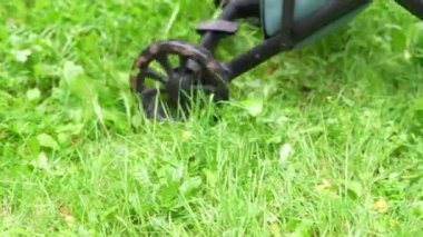 Sonbaharda yaprakların ve su birikintilerinin üzerinde giden bir bebek arabasının tekerlerinin yakın çekimi.