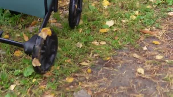 Zbliżenie Kół Wózka Dziecięcego Jesienią Jazda Liściach Kałużach — Wideo stockowe