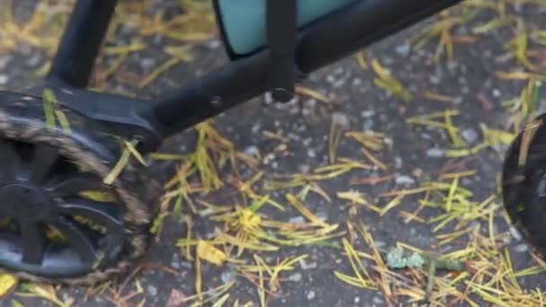 Zbliżenie Kół Wózka Dziecięcego Jesienią Jazda Liściach Kałużach — Wideo stockowe