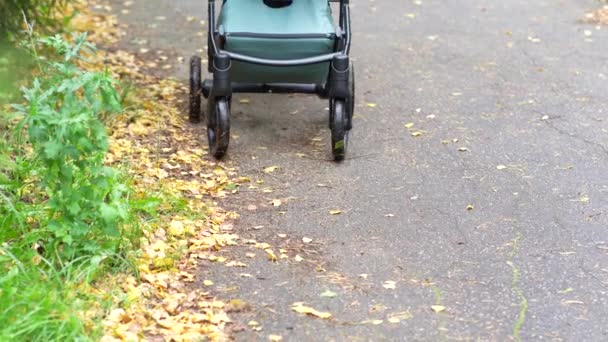 Close Van Wielen Van Een Kinderwagen Herfst Rijden Bladeren Plassen — Stockvideo