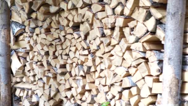 Preparación Leña Para Invierno Para Estufa Baño Montón Madera Una — Vídeos de Stock