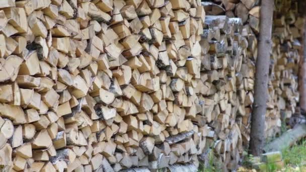 Vorbereitung Des Brennholzes Für Den Winter Für Den Herd Und — Stockvideo