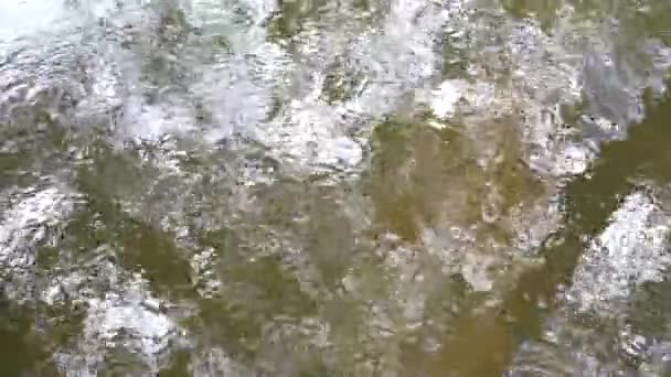 Ρεύμα Ποταμού Κατά Την Καλοκαιρινή Ημέρα — Αρχείο Βίντεο