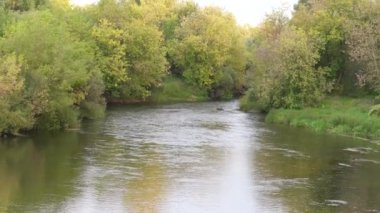 Yaz gününde nehir akıntısı