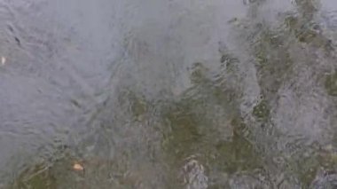 Yaz gününde nehir akıntısı