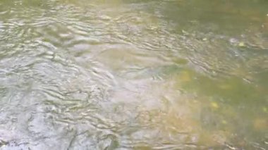 Yaz gününde nehir akıntısı