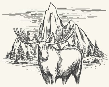 Moose, çizilmiş yatay, el
