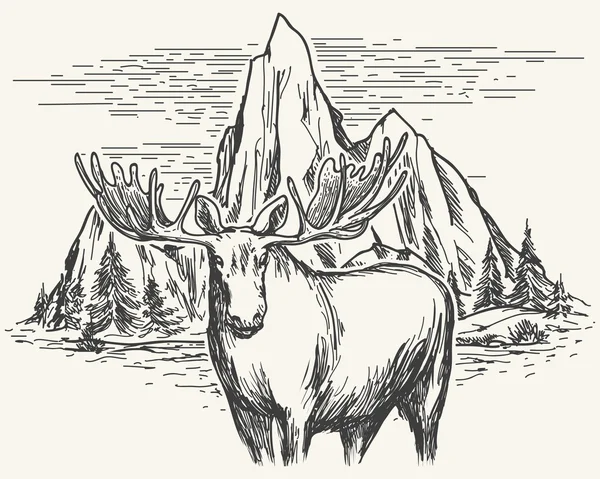 手工绘制的景观与驼鹿 — 图库矢量图片