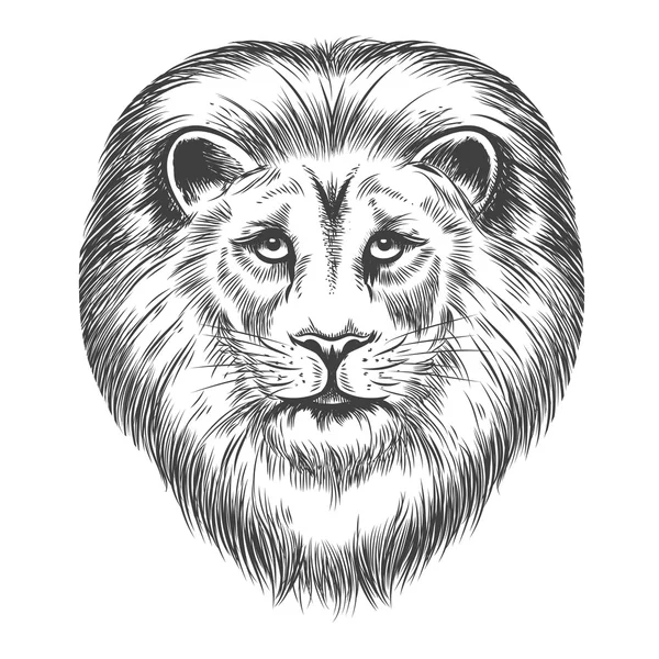 Testa di leone disegnata a mano — Vettoriale Stock