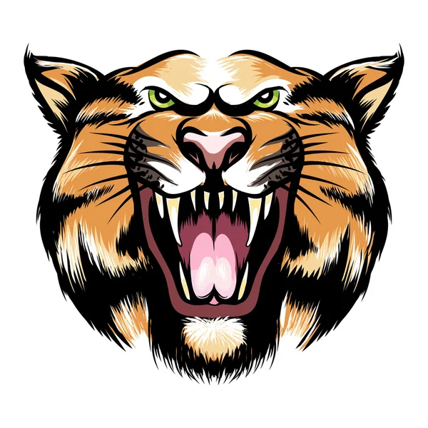 Tête de tigre rugissante — Image vectorielle