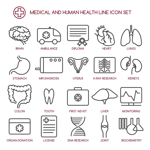 Iconos de línea de medicina y salud humana — Vector de stock