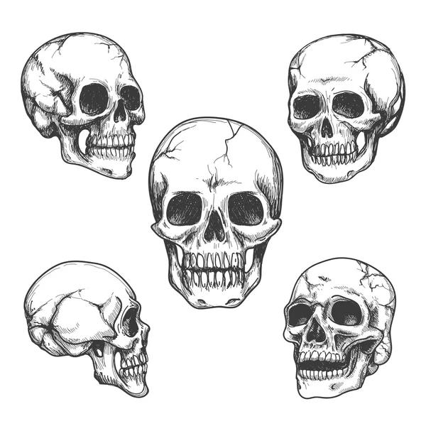 Calaveras dibujadas a mano — Archivo Imágenes Vectoriales