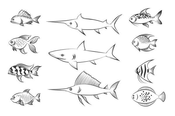 Набір пофарбованих риб Векторні ілюстрації — стоковий вектор