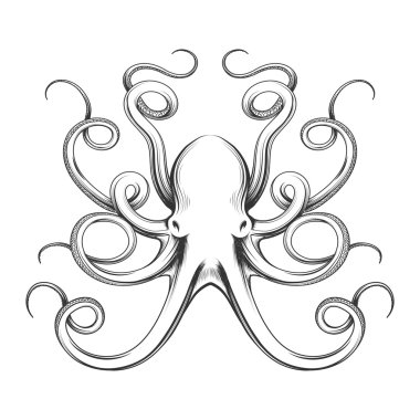 Oyulmuş ahtapot vektör simgesi