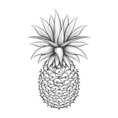 El çizimi ananas.