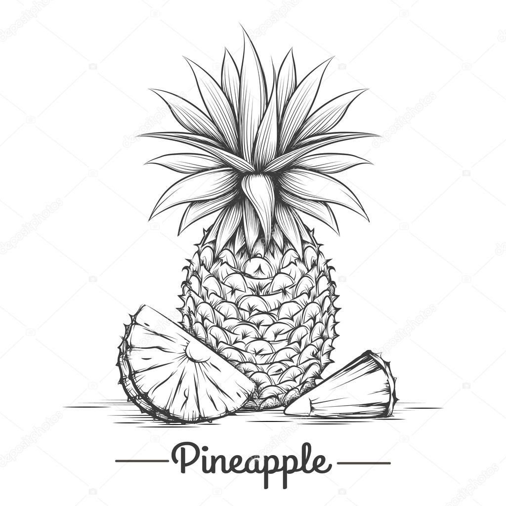 Vectores de Lluvia de piña, imágenes vectoriales | DepositPhotos, image size:1024x1024