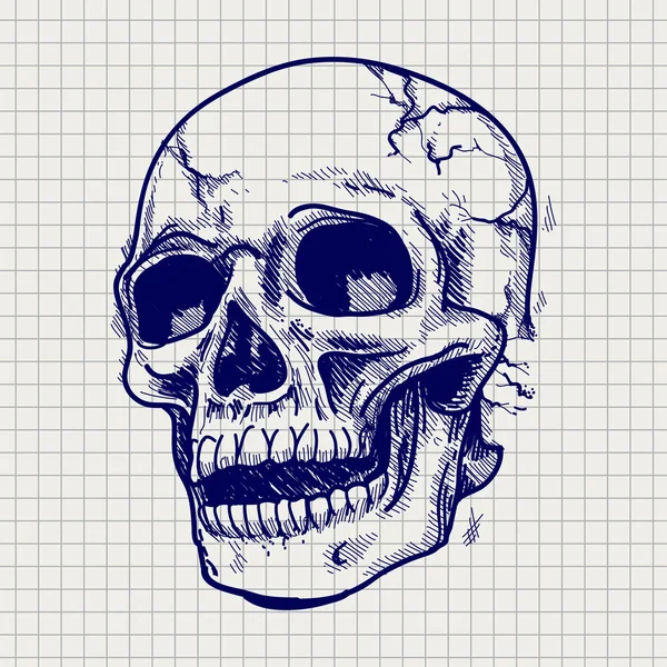 Sketch dibujado a mano del cráneo — Vector de stock