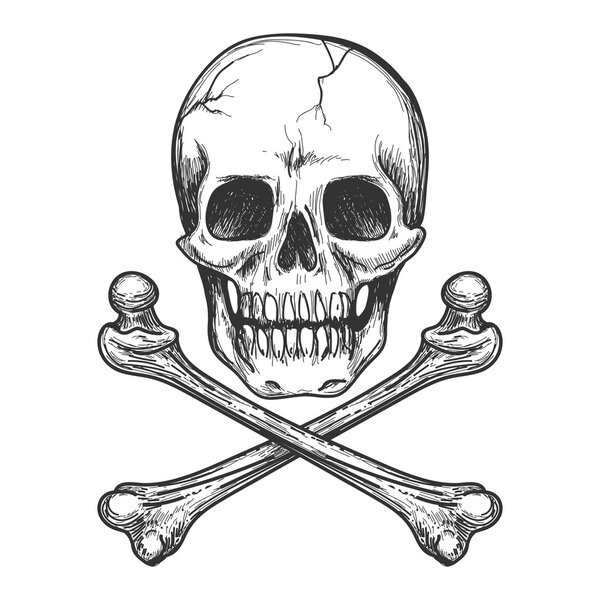 Skull and crossbones vector illustration