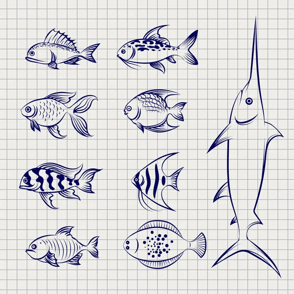 Hand drawn sketch fish — Stock Vector