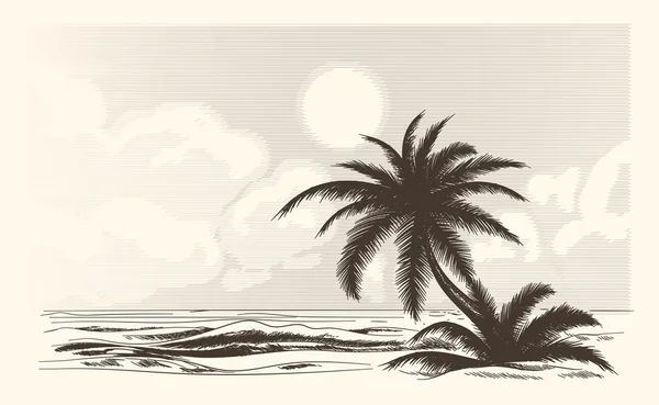 Vintage palm träd skiss — Stock vektor