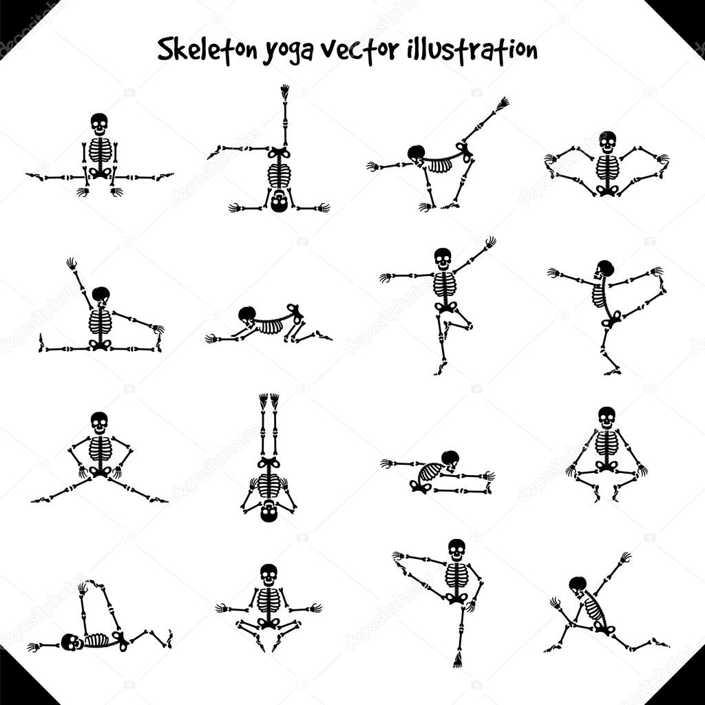 Skeletons in yoga poses