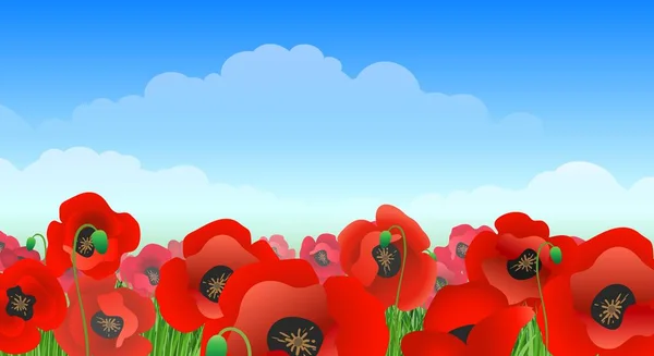 Illustrated poppy field landscape — Vetor de Stock