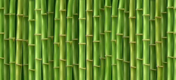 Textura de bambu verde — Vetor de Stock